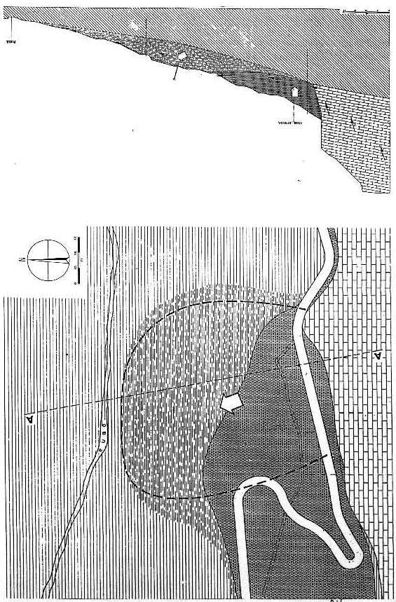 dissesti tema nr10.2